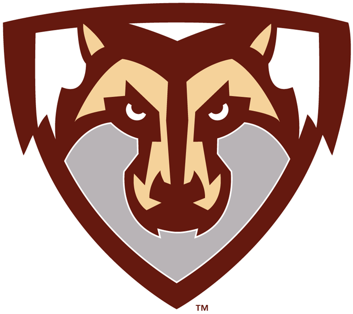 St.Bonaventure Bonnies 2002-Pres Partial Logo iron on paper